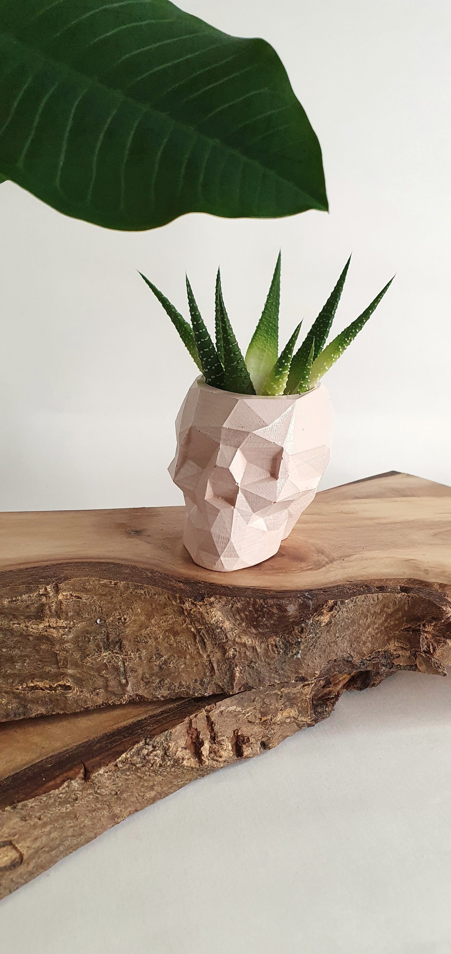 Goottityylinen pääkallo-astia