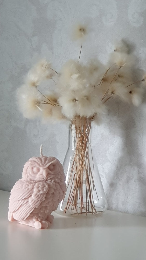 Owl candle