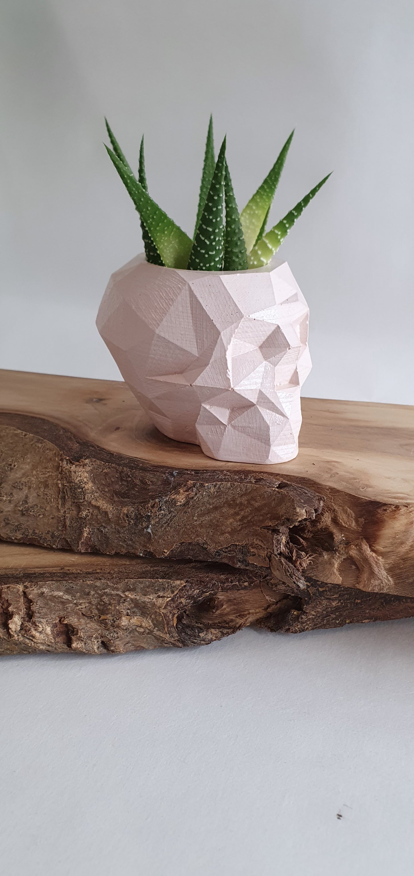 Goottityylinen pääkallo-astia