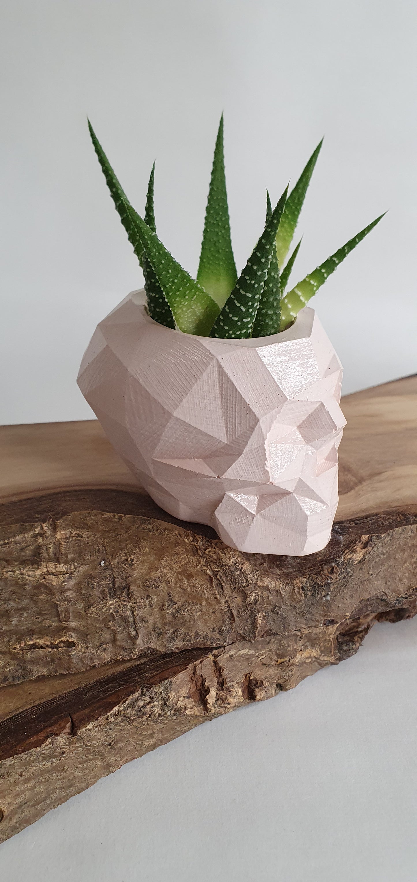 Goottityylinen pääkallo-astia