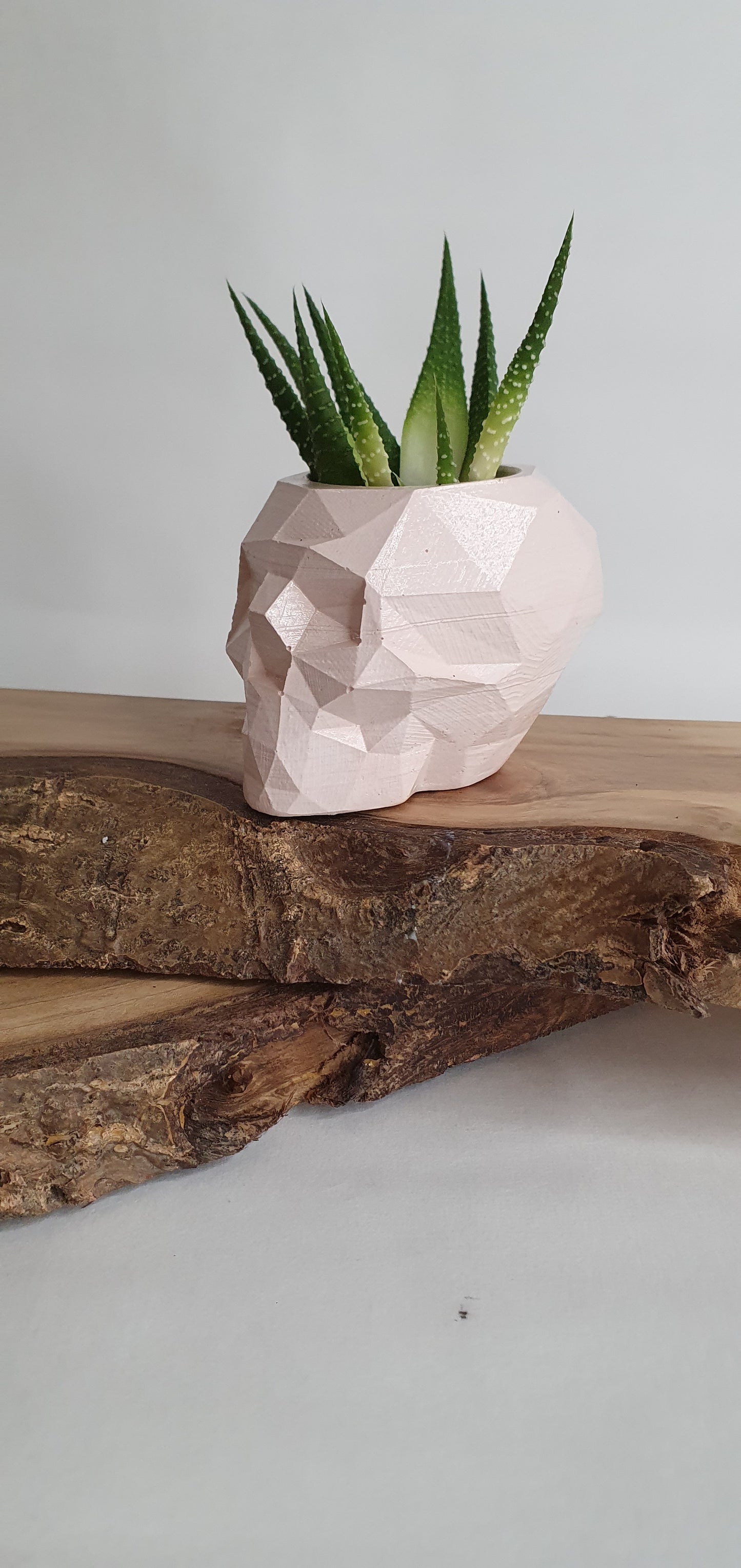 Goottityylinen pääkallo-astia